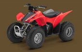2009 Honda TRX90X photo